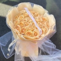 Ͻʻٵ